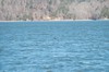 2022-02-20 JP Coleman State Park 056